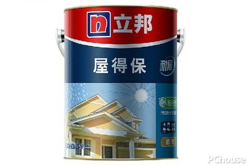 家装涂料选购指南 网购注意事项与热门品牌推荐